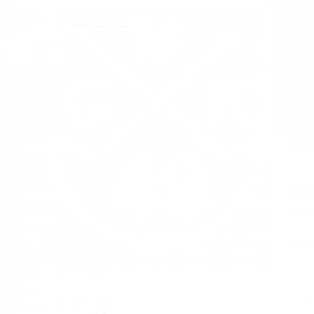 mgk-49-vit