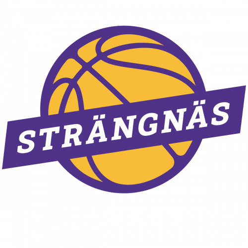 strängnäs-basket-outline